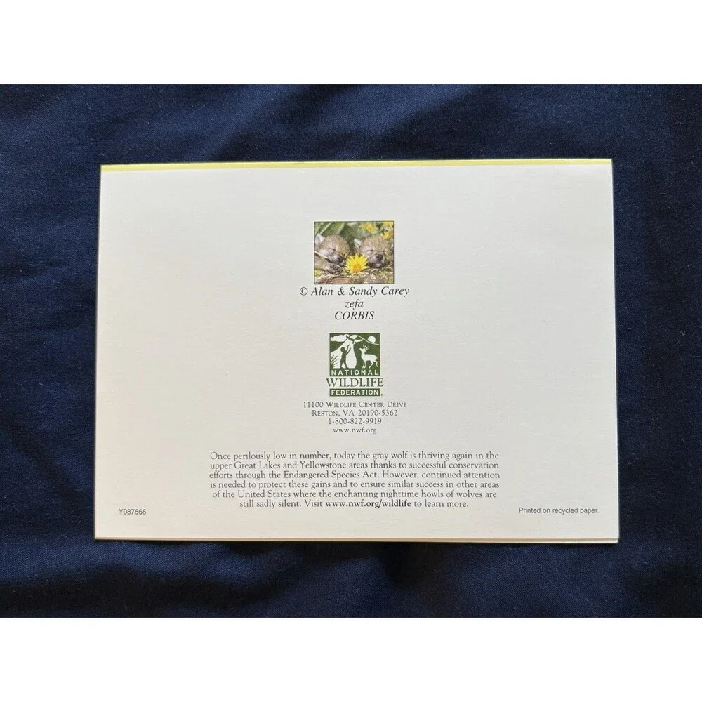 Birthday Card with White Envelope | Baby Wolf and Wildlife design By NWF